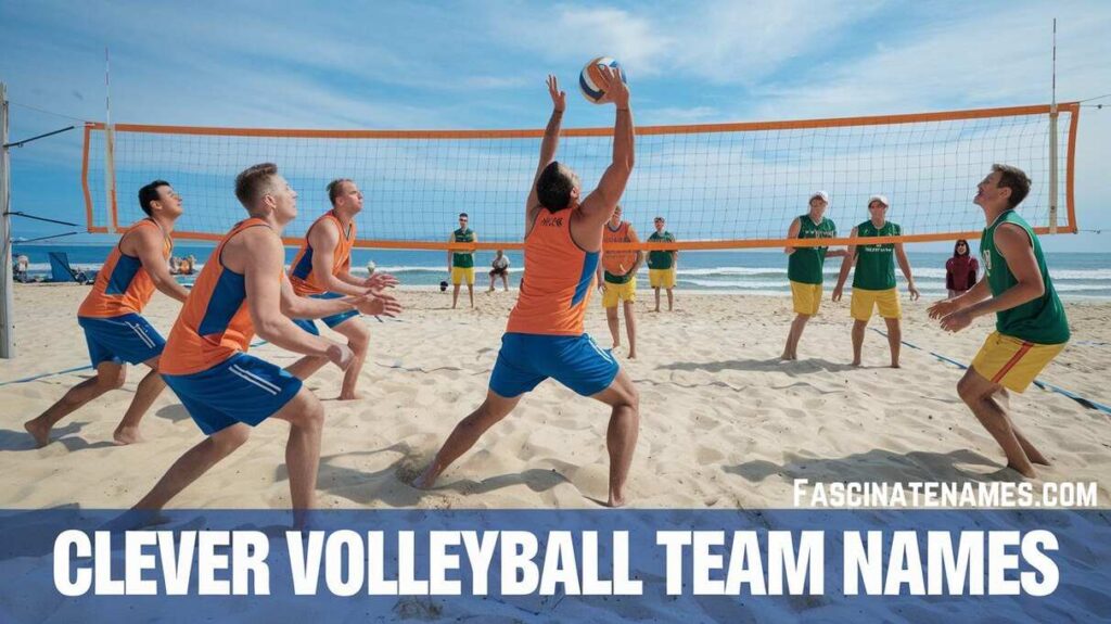 Clever Volleyball Team Names
