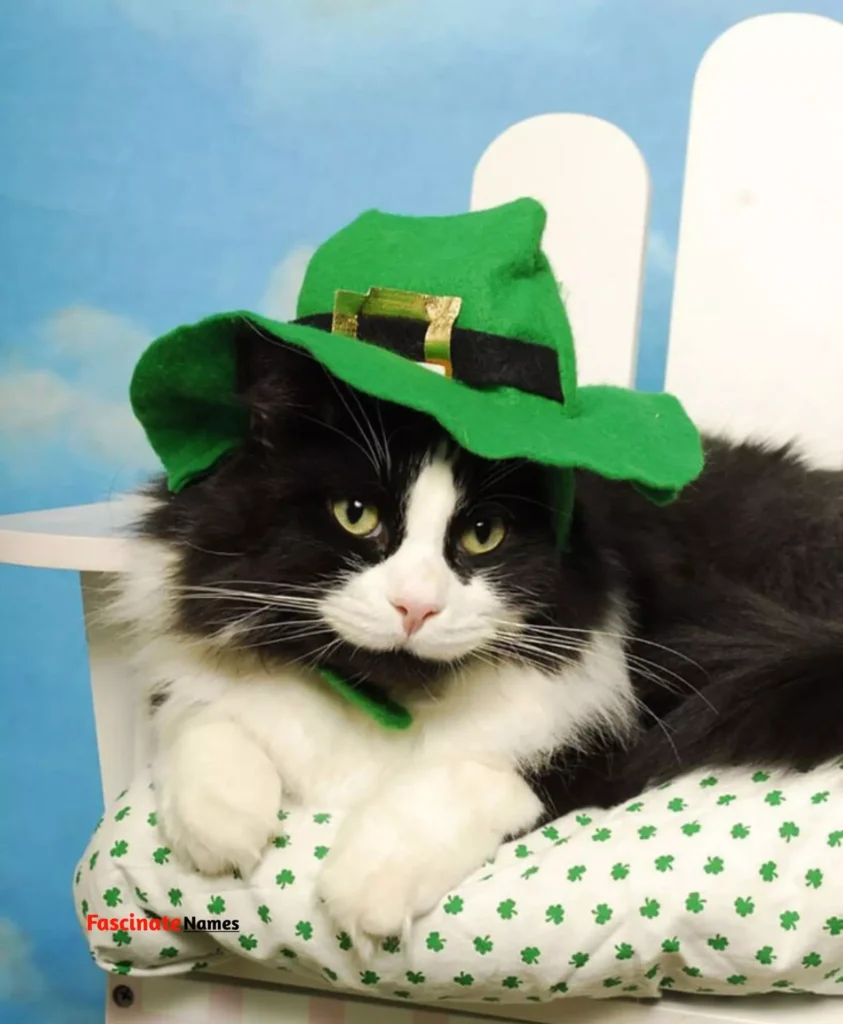 Green Cat with Hat