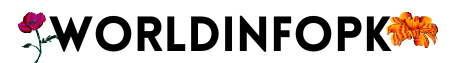 worldinfopk.com
